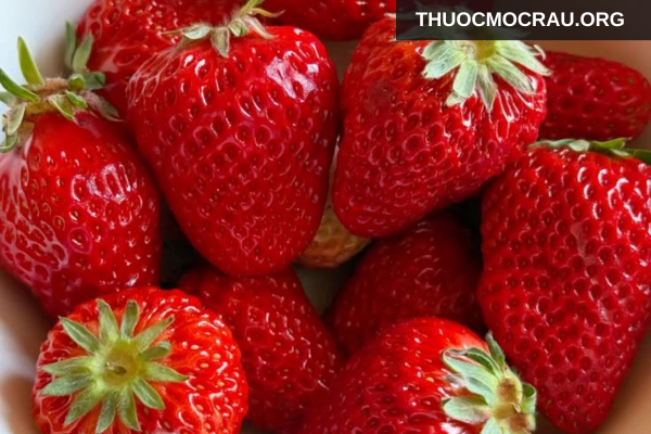 Trái cây giàu vitamin C