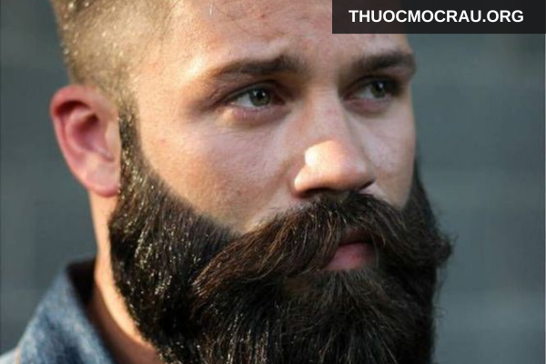 Râu full beard gọn gàng