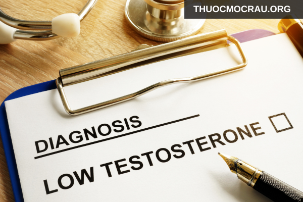 Nồng độ hormone testosterone và DHT