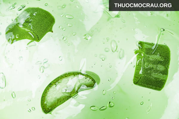 Gel nha đam hỗ trợ giảm kích ứng
