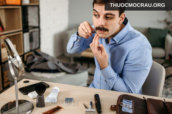 Cắt tỉa định kỳ