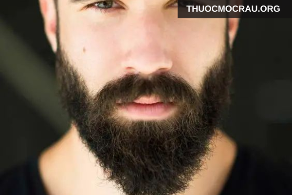 Râu Ducktail cá tính và phong trần