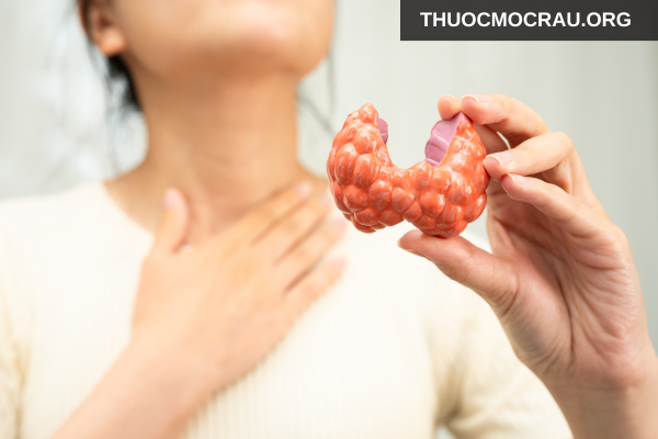 Các bệnh lý tiềm ẩn